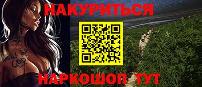 стаф Славгород