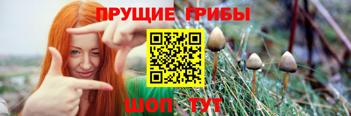 Псилоцибиновые грибы GOLDEN TEACHER  Вход с VPN  Острогожск  Галлюциногенные грибы мицелий 